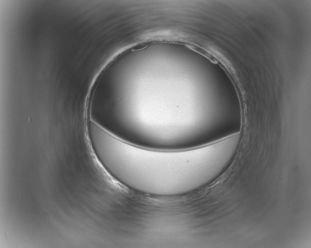 X0000070411392200606090944