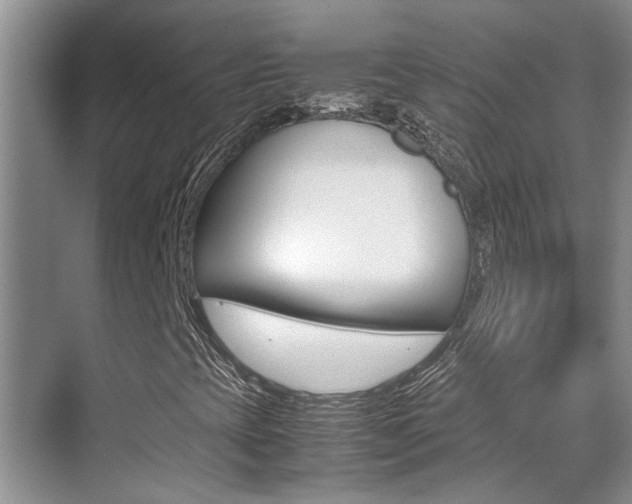 X0000070411393200606090943