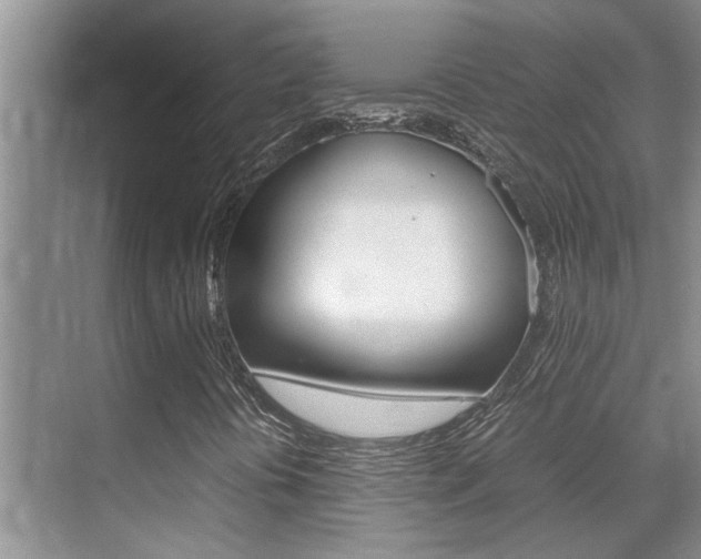 X0000070411394200606090943