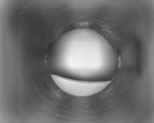 X0000070411395200606090943