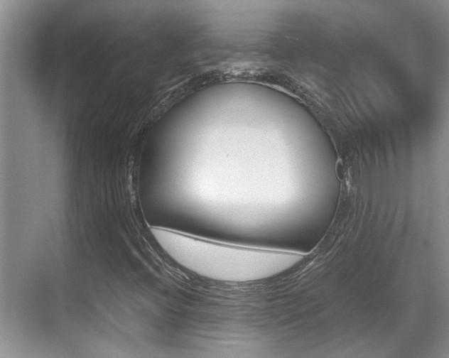 X0000070411396200606090943