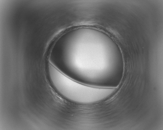 X0000070411406200606090943