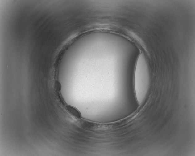 X0000070411411200606090943