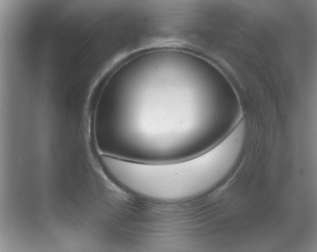 X0000070411414200606090944