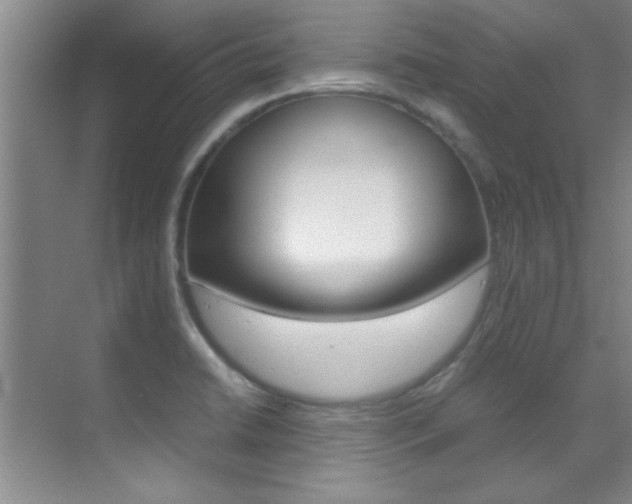 X0000070411422200606090944