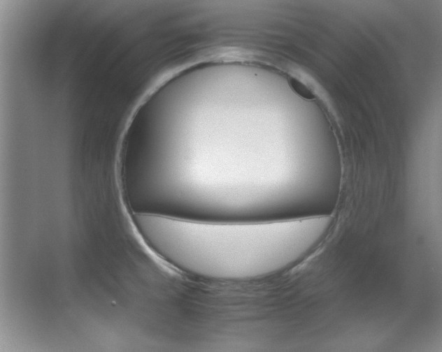 X0000070411429200606090944