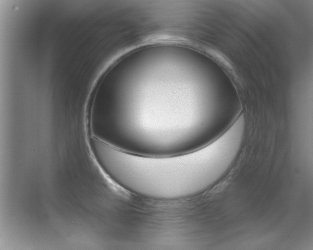 X0000070411430200606090944