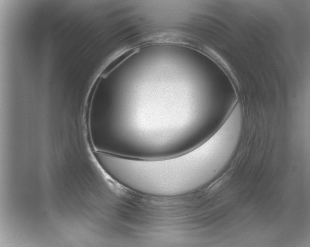 X0000070411434200606090944