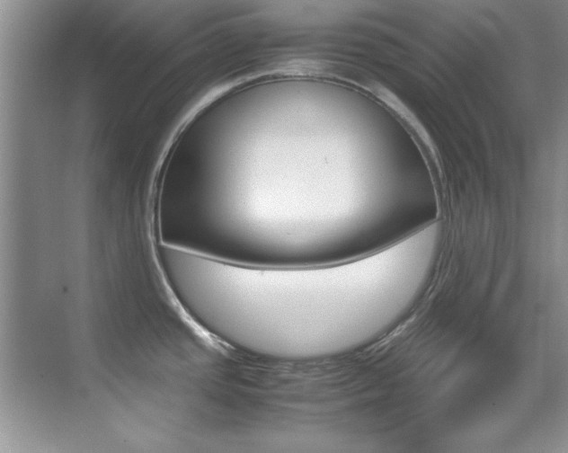 X0000070411437200606090944