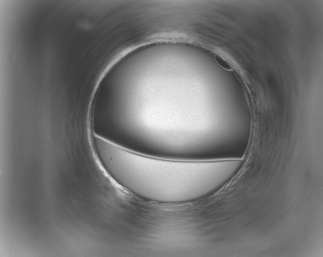X0000070411440200606090944