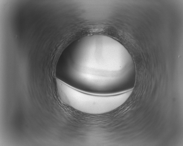 X0000070411441200606090943