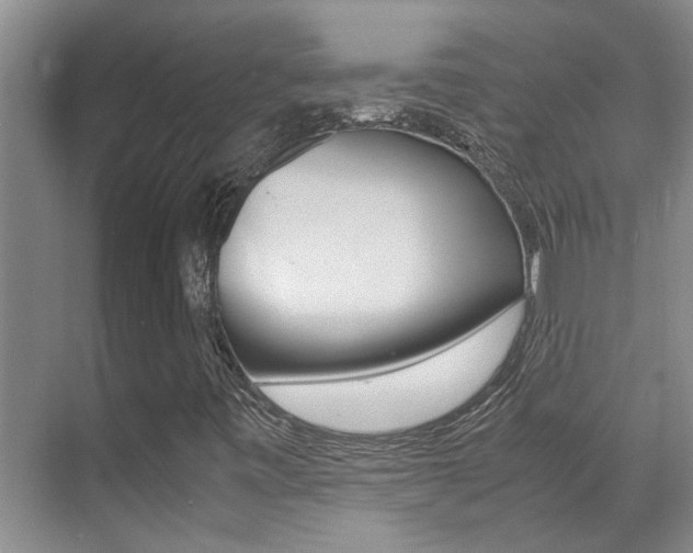 X0000070411443200606090943