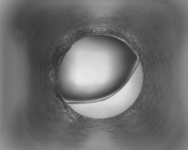 X0000070411445200606090943