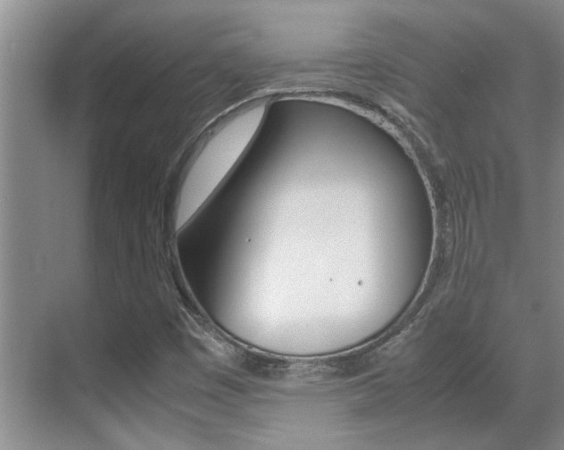 X0000070411449200606090943