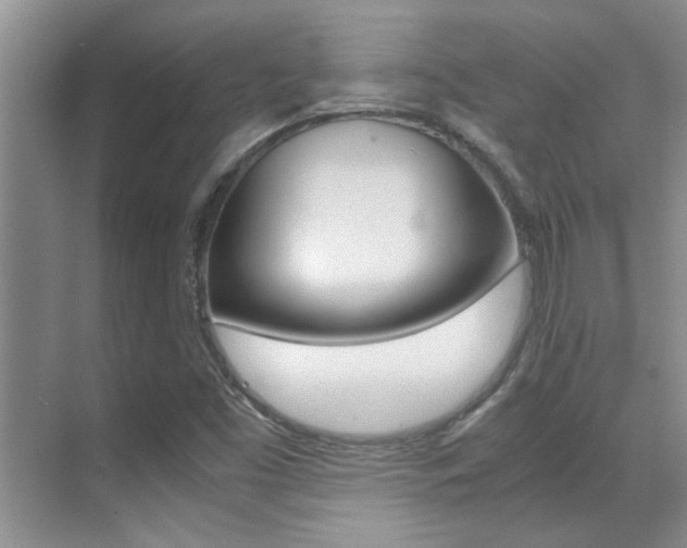 X0000070411453200606090943