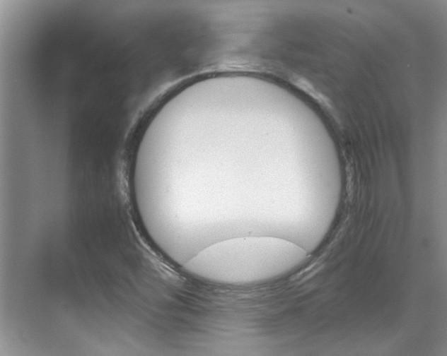 X0000070411454200606090943
