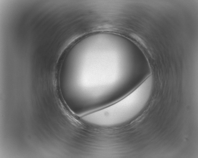 X0000070411458200606090943