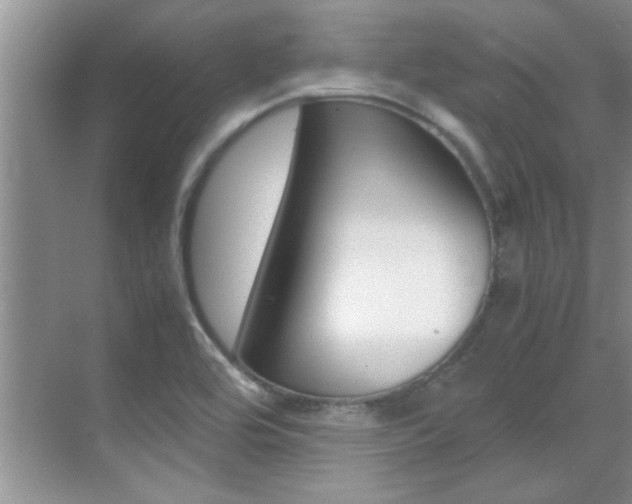 X0000070411464200606090943