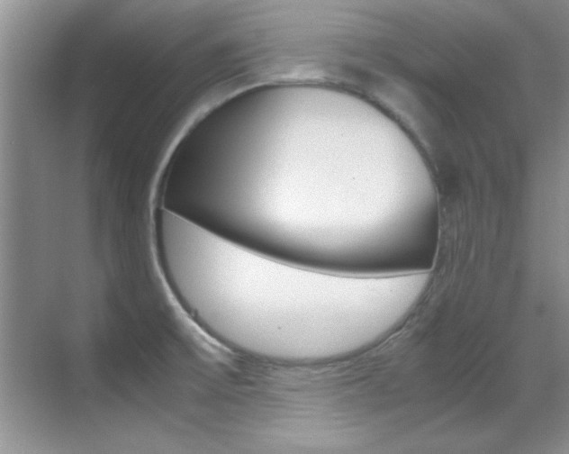 X0000070411475200606090943
