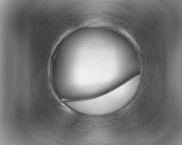 X0000070411477200606090943