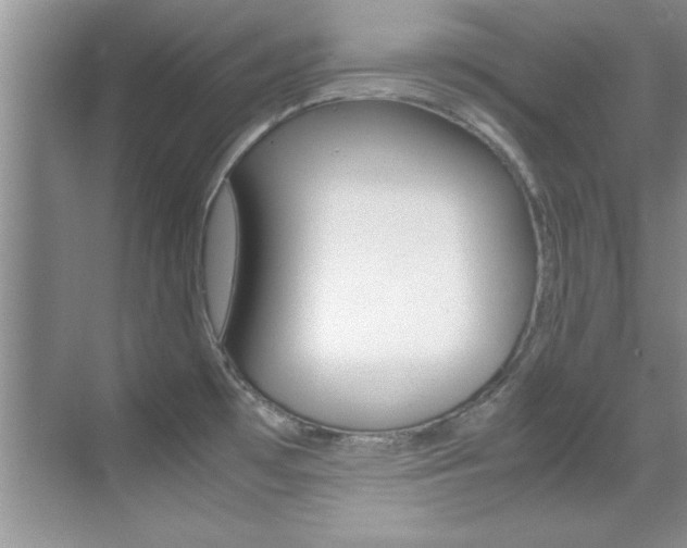 X0000070411481200606090943