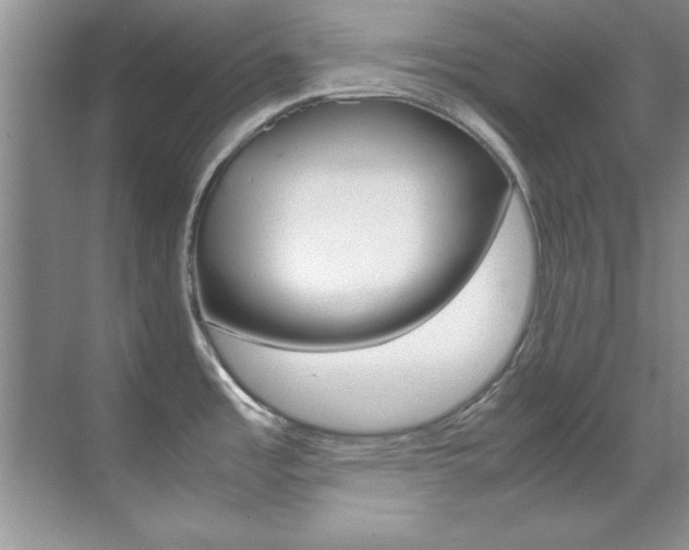 X0000070411485200606090942