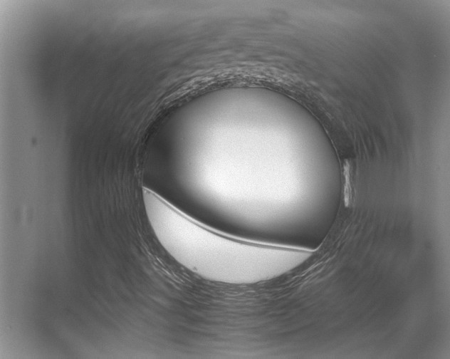 X0000070411491200606090942