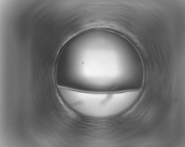 X0000070411513200606090942
