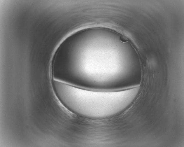 X0000070411516200606090942
