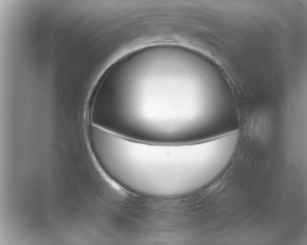 X0000070411519200606090942