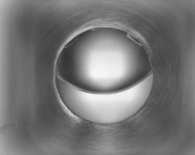 X0000070411528200606090942