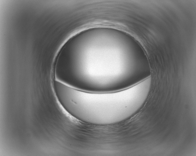 X0000070411531200606090942