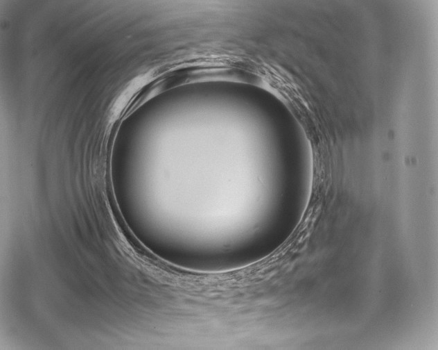 X0000070410003200606091203