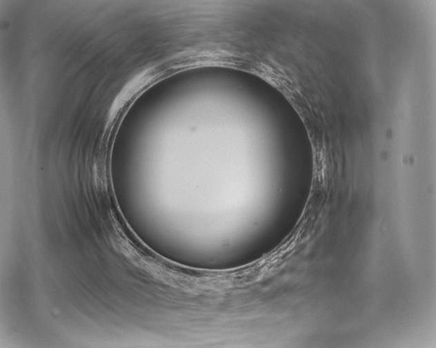 X0000070410004200606091203