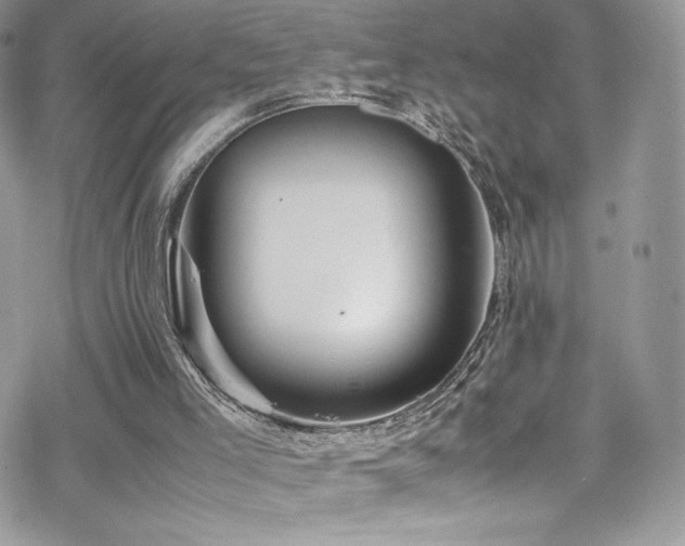 X0000070410005200606091203