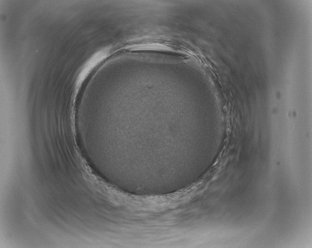 X0000070410006200606091203