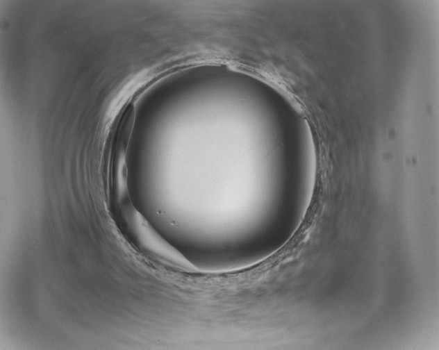 X0000070410007200606091203