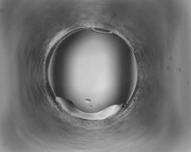 X0000070410008200606091203