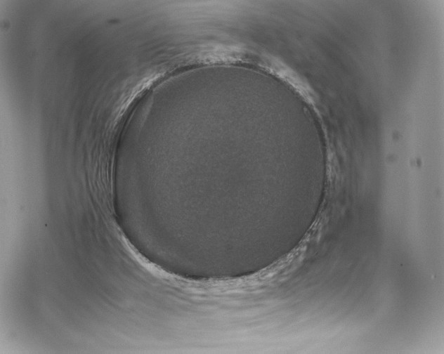 X0000070410009200606091203