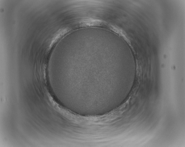 X0000070410010200606091203