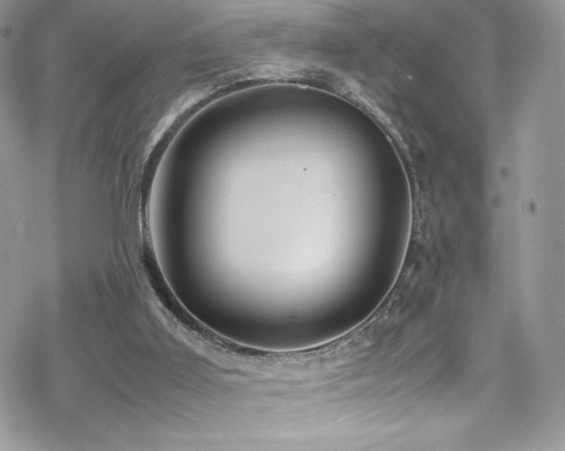 X0000070410011200606091203