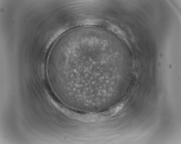 X0000070410012200606091203