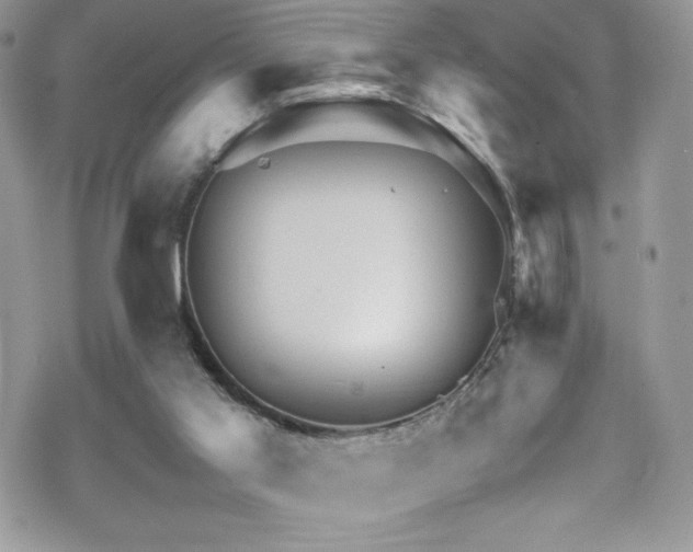 X0000070410013200606091203