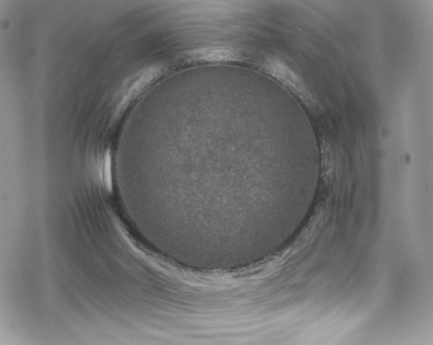 X0000070410014200606091203