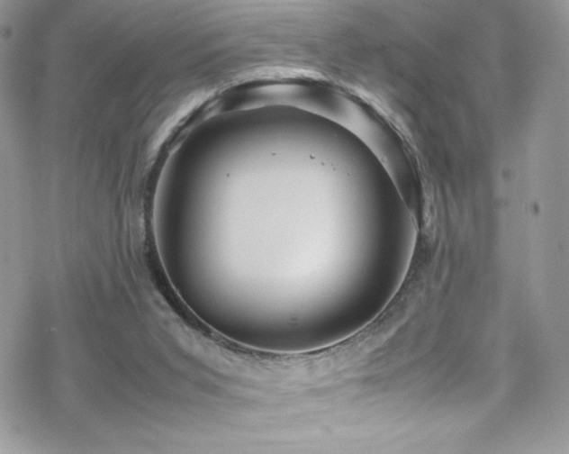 X0000070410015200606091203