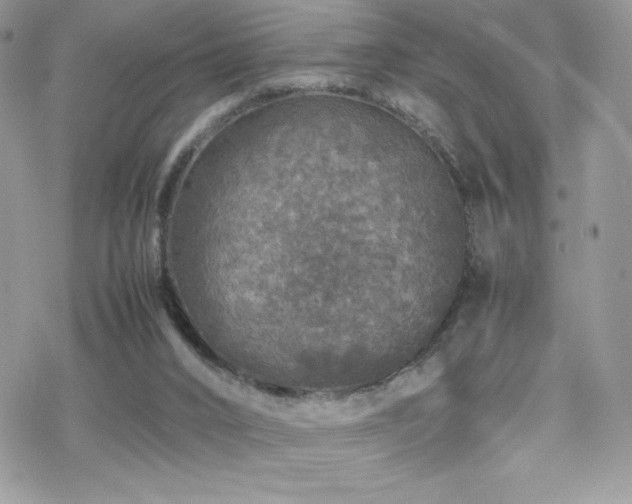 X0000070410016200606091203