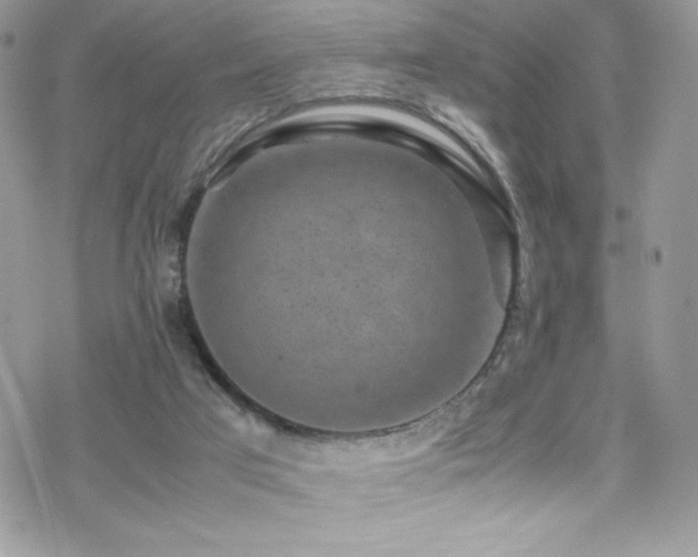 X0000070410017200606091203