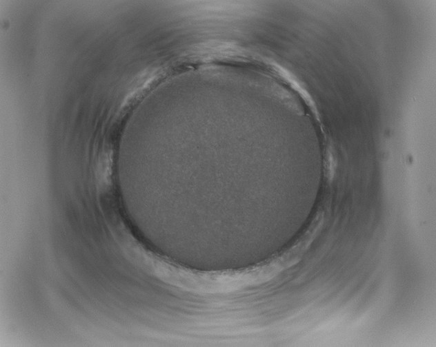 X0000070410018200606091203