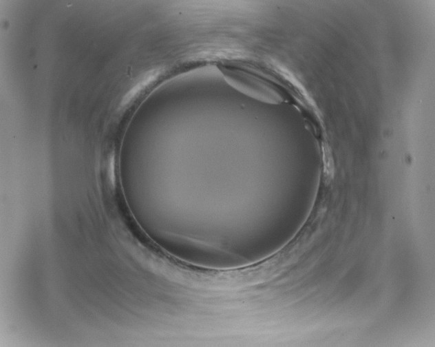 X0000070410019200606091203