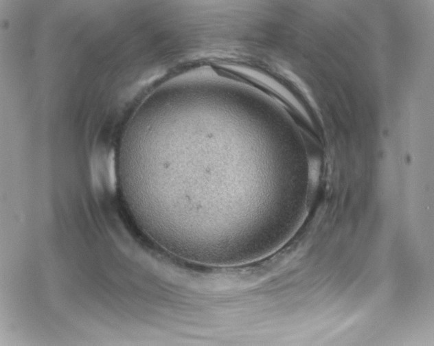 X0000070410020200606091203